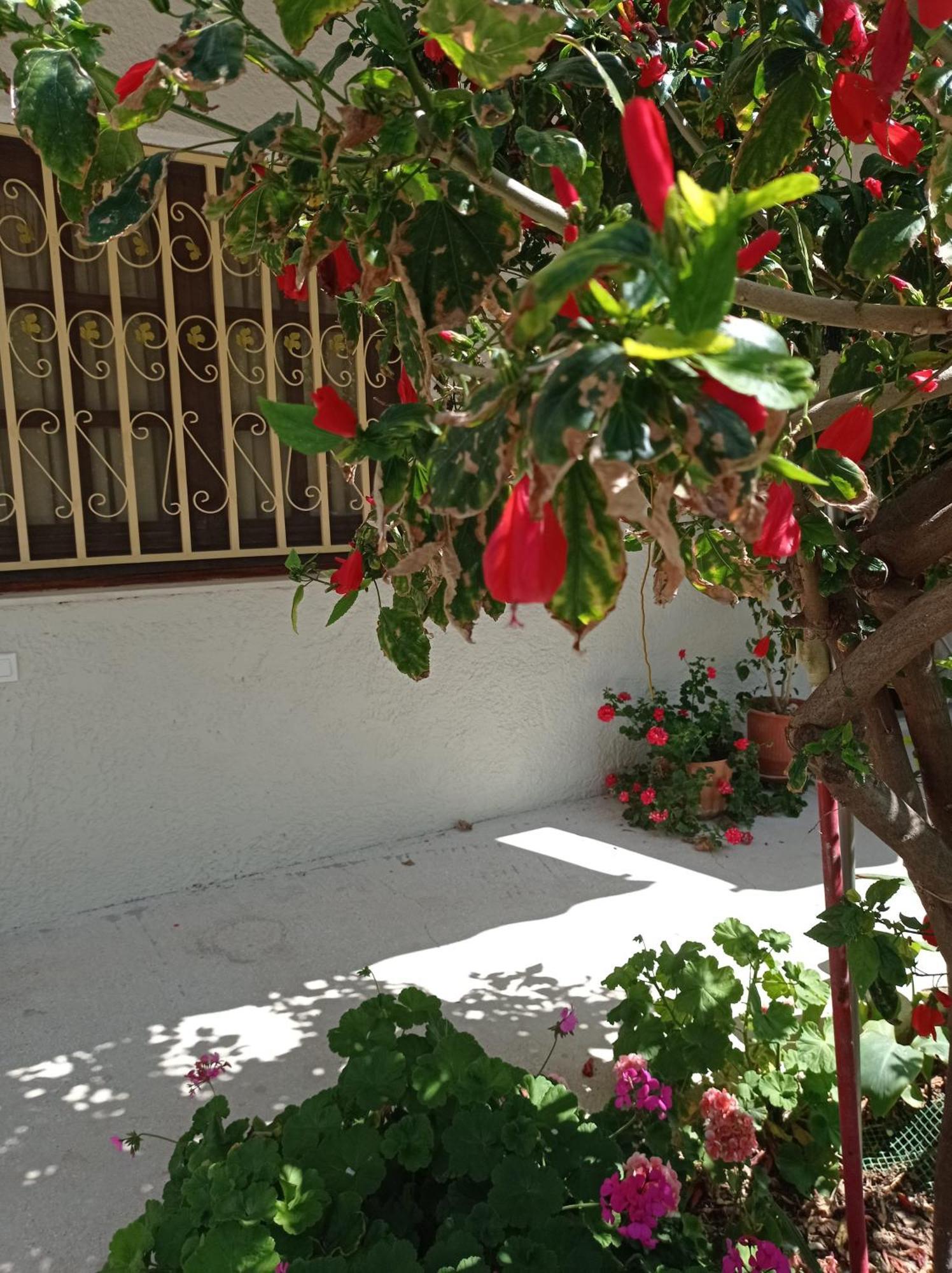 Tasos Seagull Apartments Chania  Ngoại thất bức ảnh